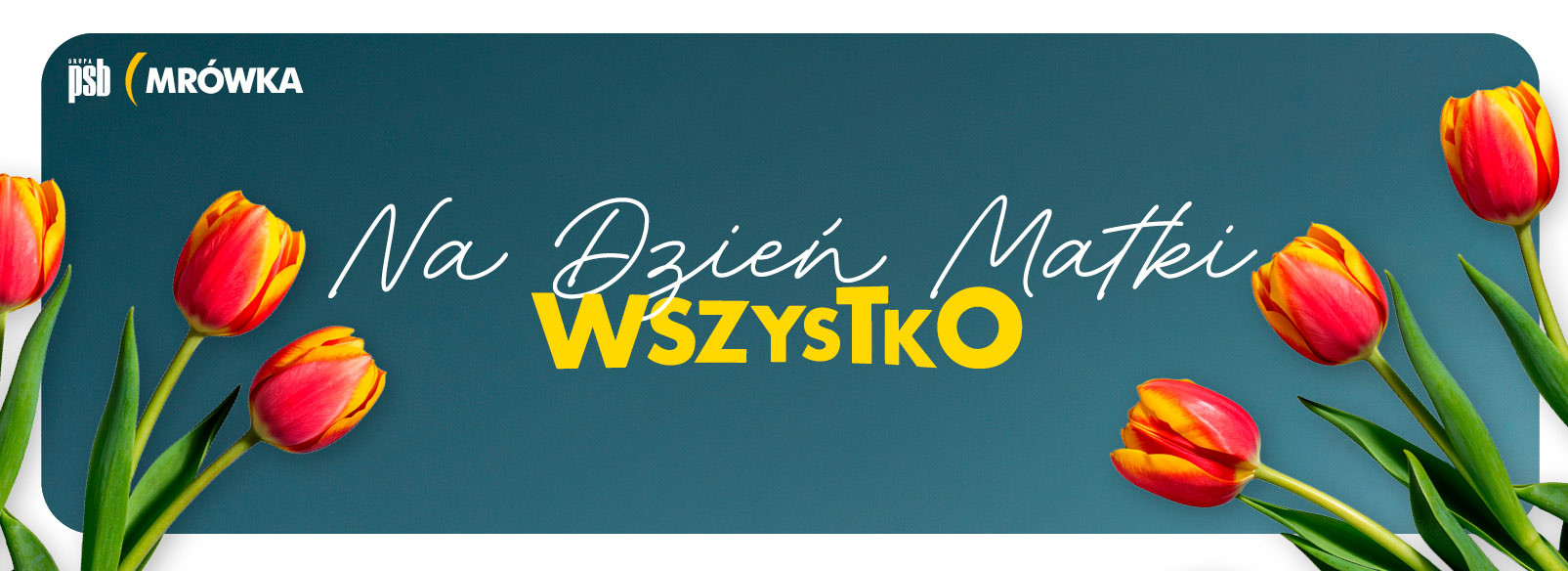 Grupa PSB mrowka Hrubieszów